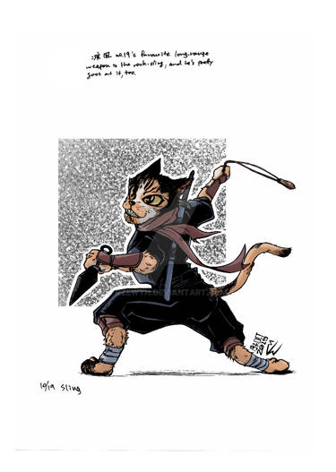 Ninja cat 19