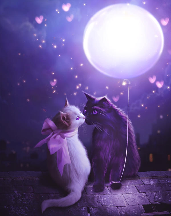 I'll give you the moon by MariLucia