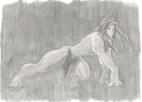 Tarzan by Janeckb