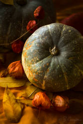 Autumn motives / Autumn nature morte