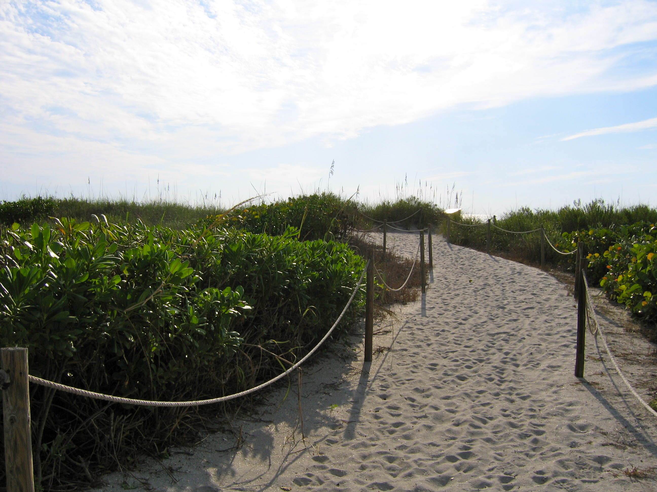 Sandy Pathway by SuperAnimeKitty on DeviantArt