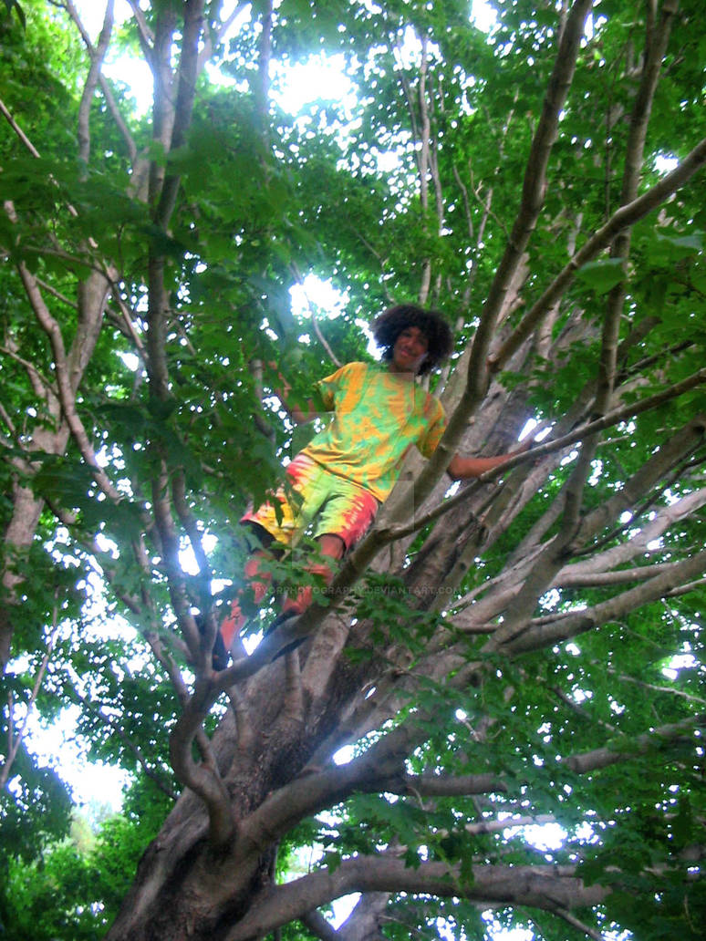 Tree People by PYORPhotography on DeviantArt