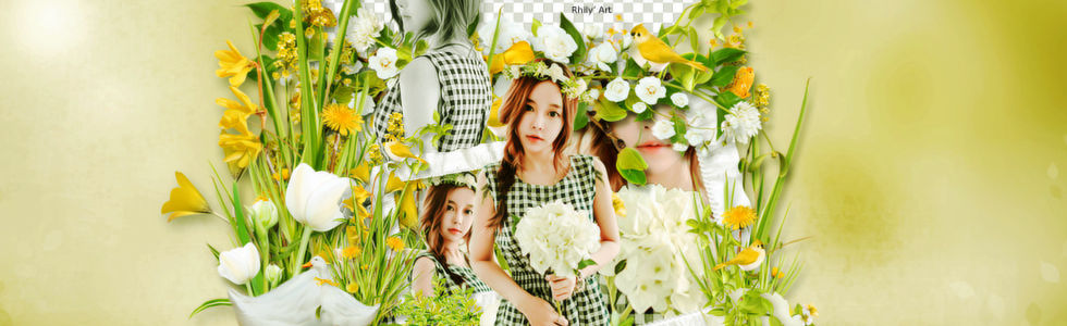 Cover Green Rose