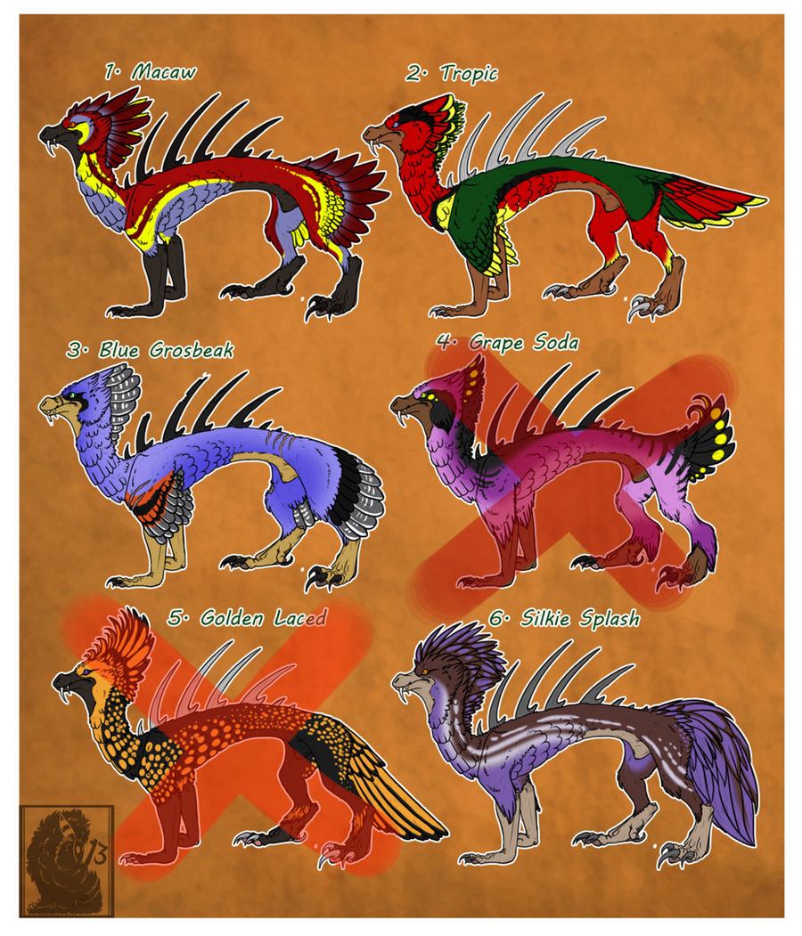 Flair drakes Offer to adopt!