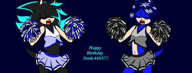 Sonic4465 Gift