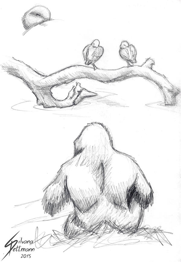 Ducks and gorilla sketch