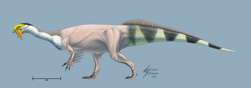 Plateosaurus mix