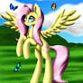 Fluttershy and butterflies