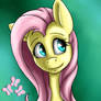 Fluttershy (My Little Pony: Friendship is Magic)