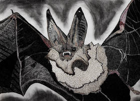 Vampire Bat pointillism