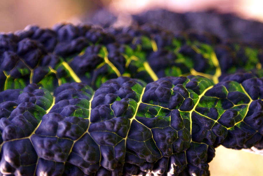 Alien highway by karliosi on DeviantArt