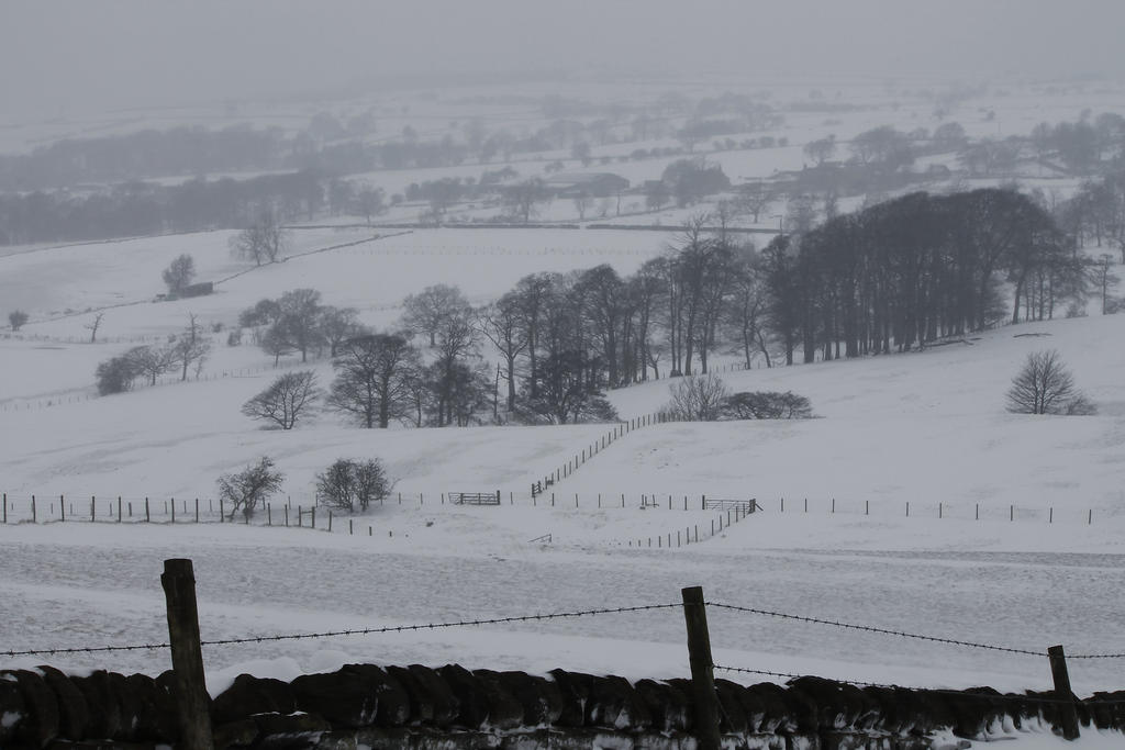 Frozen yeadon