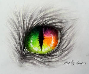 Rainbow cat eye