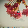 April 2011 Desktop