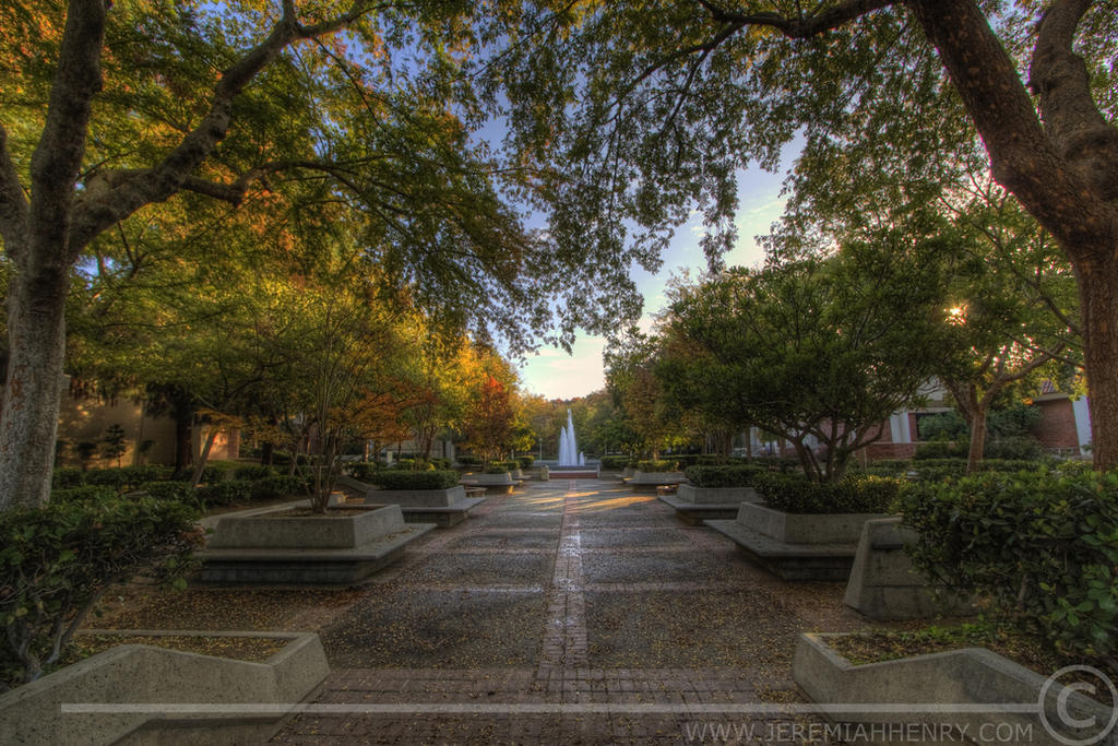 Fresno City College in the Fal