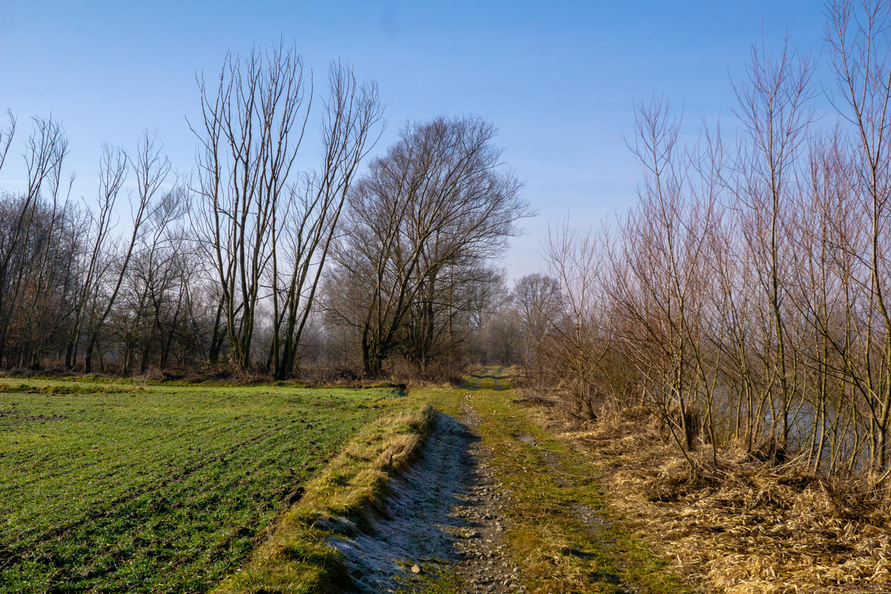 Path near River by Balen on DeviantArt