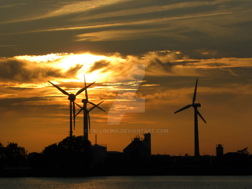 Windmills chase after the Sun...