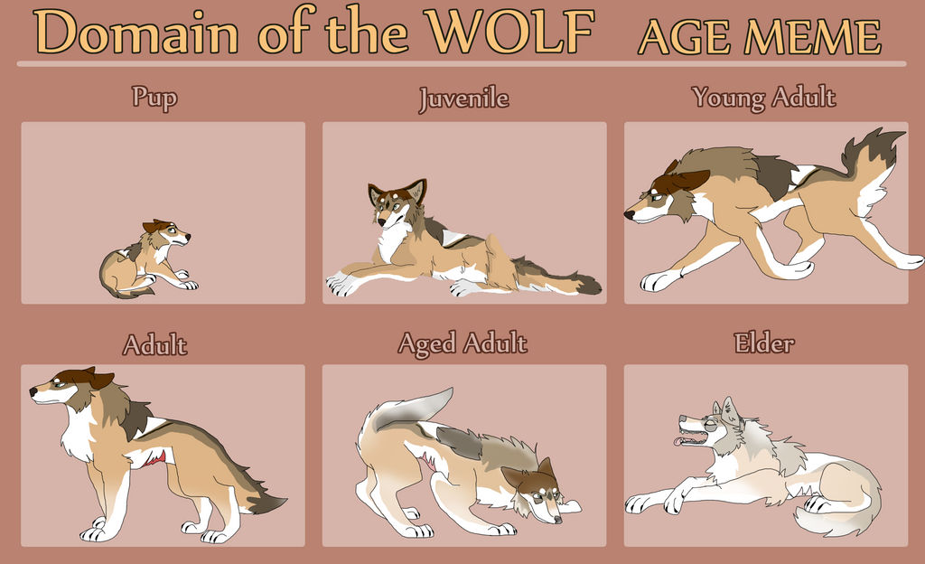 DoTW: Kiev's Age Meme