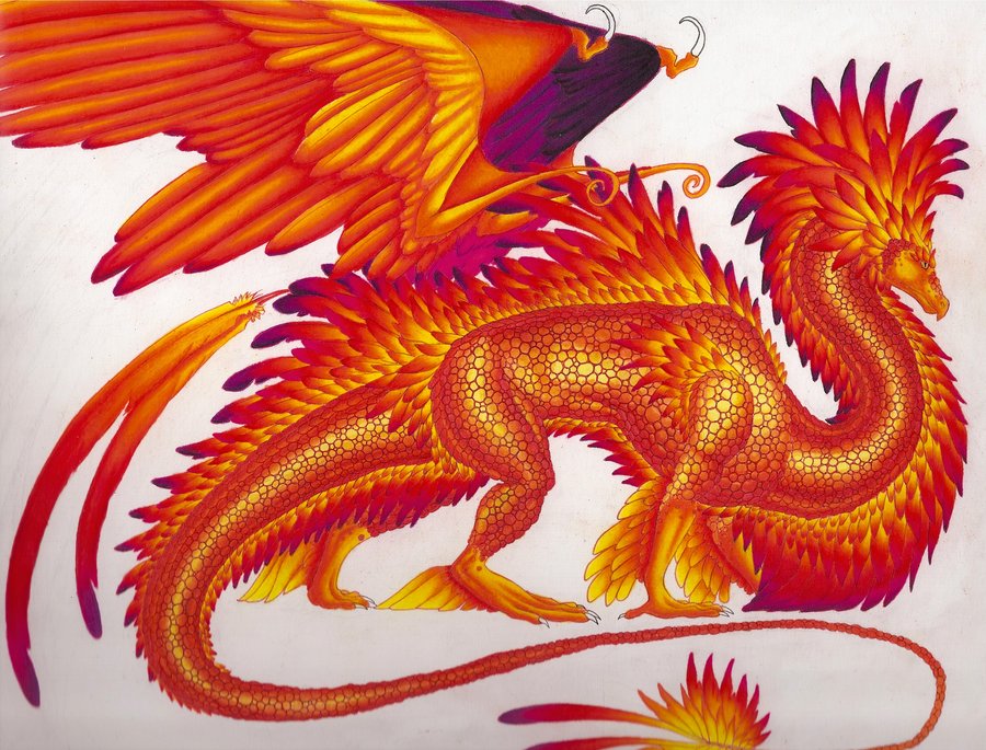 Majestic Phoenix Dragon