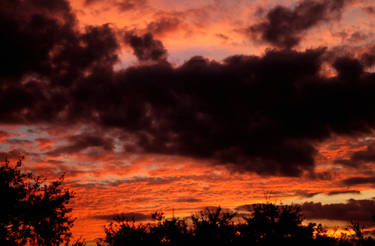 Raining-Ribbons - Hobbyist, Photographer | DeviantArt
