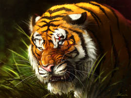 Shere Khan