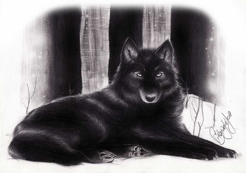 Black Wolf