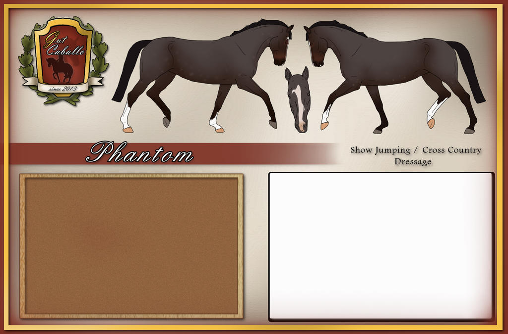 GC Phantom Sold by GutCaballo on DeviantArt