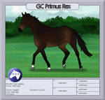 GC Primus Rex - MSH 3-Sternepferd by GutCaballo