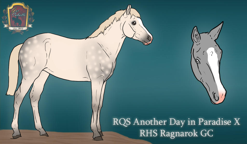 Rqsf foal february 1