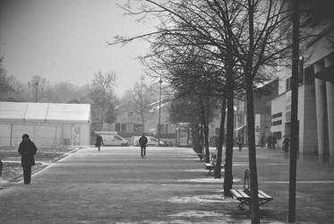 Silent and snowy outskirts of Paris