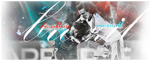 luis VS maxwell