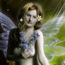 Fairy Beautiful