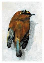 Bird Oil Stick 04