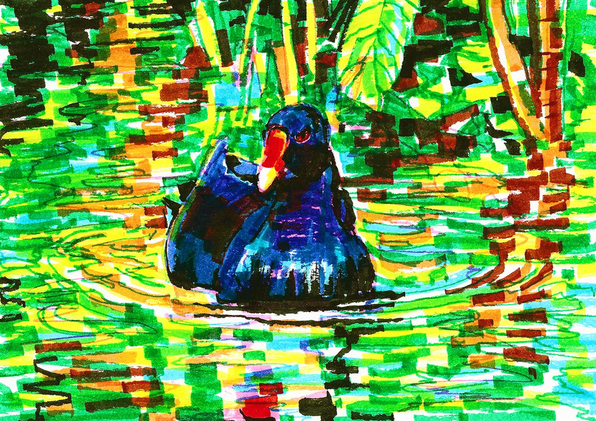 Pato by RPARABERE on DeviantArt