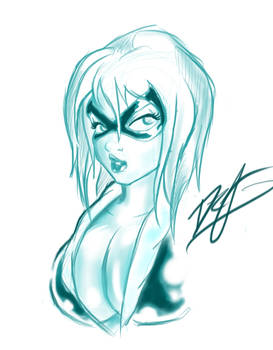 Black Cat Sketch