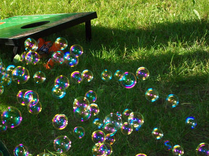 Pretty colorful bubbles