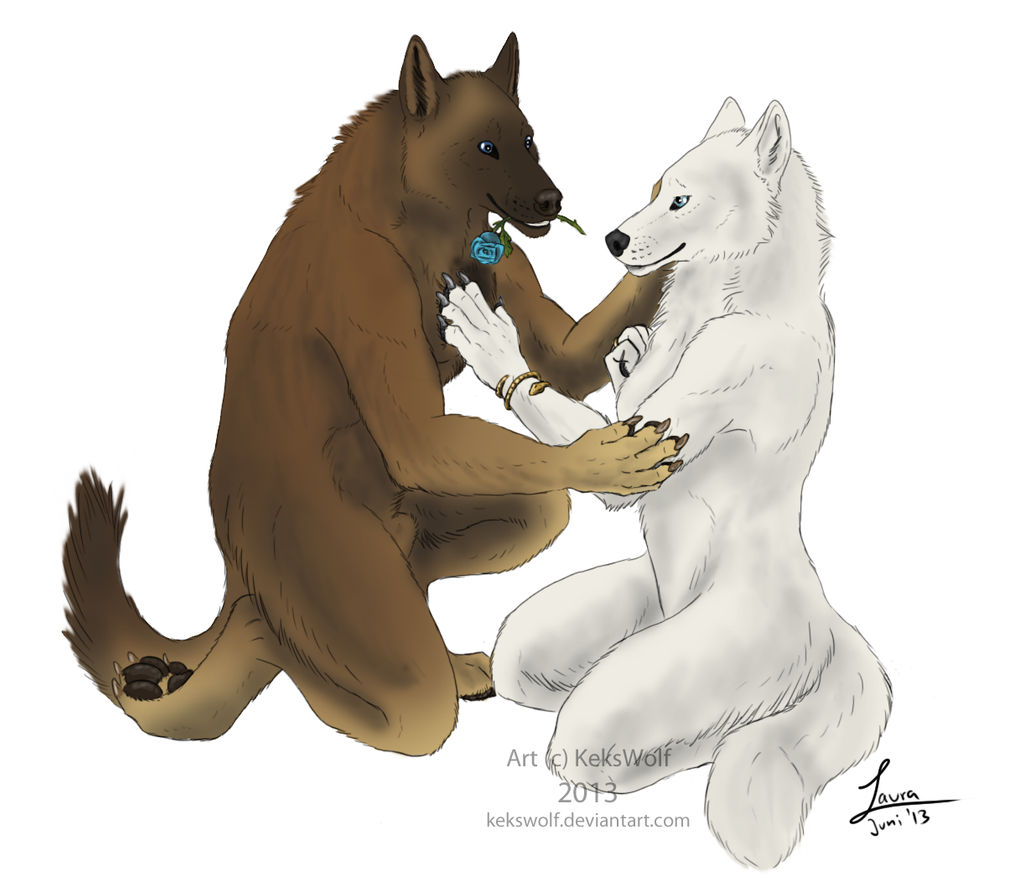 Blue Rose - Commission by KeksWolf