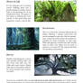 Studying: Trees (pt.1)