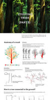 Studying: Trees (pt.2)