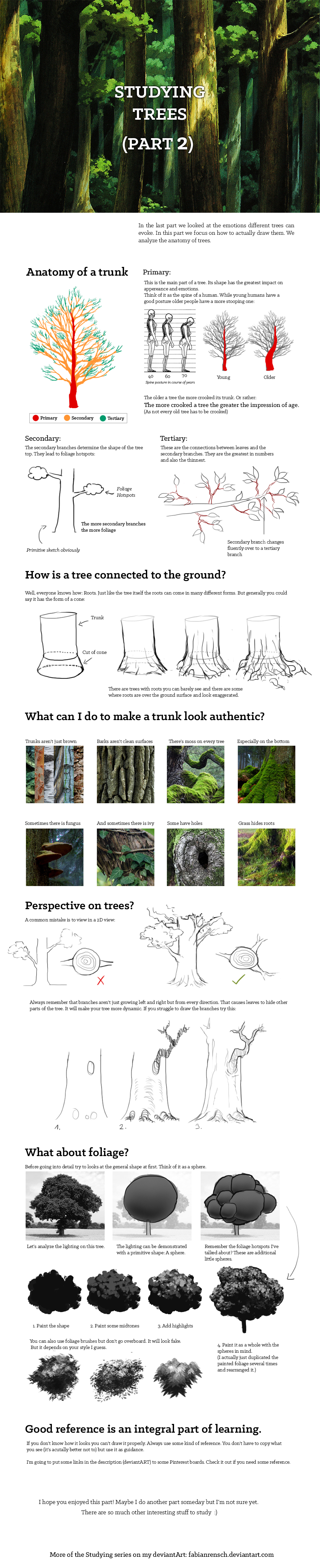 Studying: Trees (pt.2)