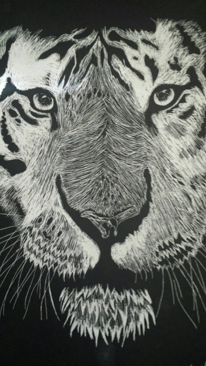 scratch drawing by squirls01 on DeviantArt
