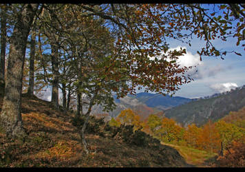 Autumn in the mountain