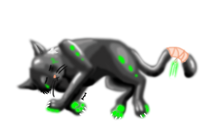 Glowing Cat