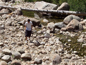 A Walk By The Creek