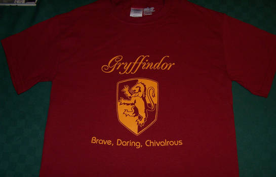 Gryffindor Pride Tee