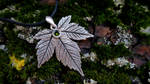 Elven leaf silver pendant by AranelTauri