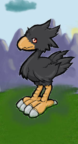  Black Chocobo