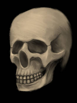 Skull