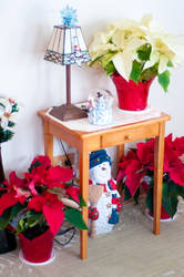 Poinsettia Nook