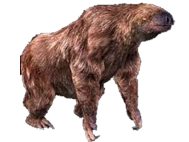 Master Ground Sloth by alliassalmon on DeviantArt